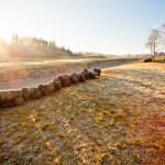 Sogar die Rucksäcke werfen Schatten